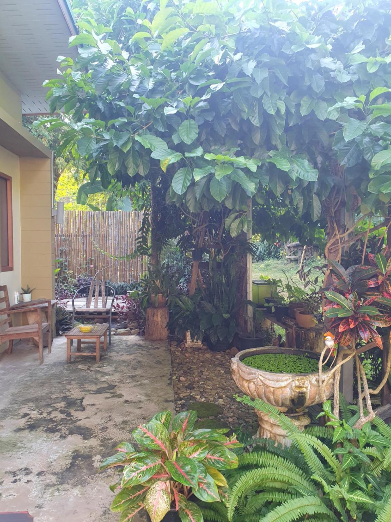 Mind'S Homestay มายด์โฮมสเตย์ Kampong Huaibu Exterior photo